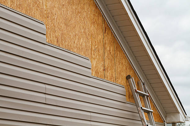 Professional Siding Inspection technician working in Ronda, NC